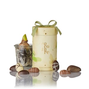 Marcipanæg og fyldte chokoladeæg i gult Cocoture gaverør - 255g