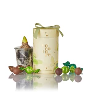 Cocoture fyldte chokoladekugler i gult Cocoture gaverør - 250g