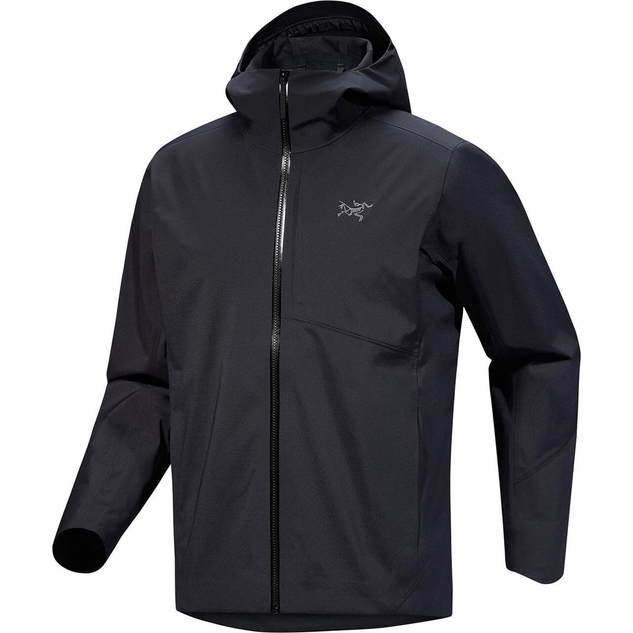 Arcteryx Mens Sawyer Hoody (Sort (BLACK) Medium)