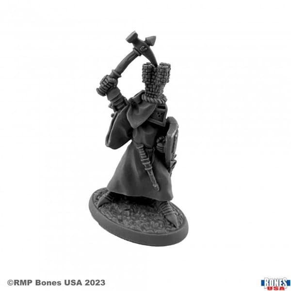 Reaper Bones USA Reaper Legends: Sir Roland the Grey  - Plastic Miniature