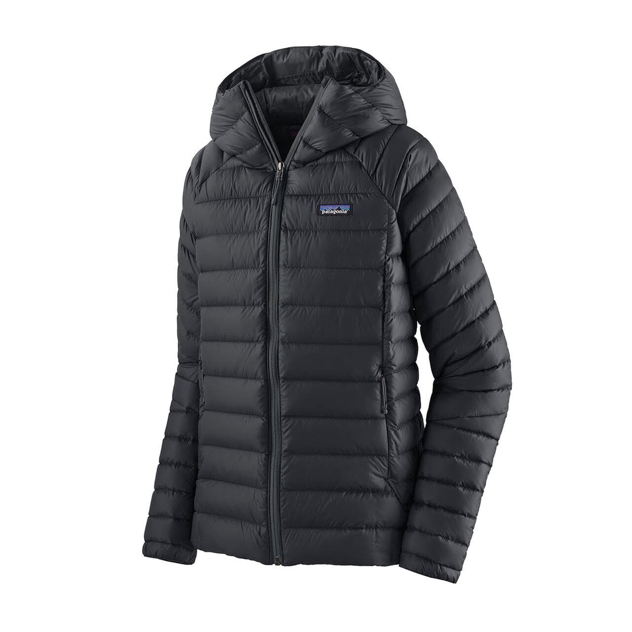 Patagonia Womens Down Sweater Hoody (Sort (BLACK) Small)