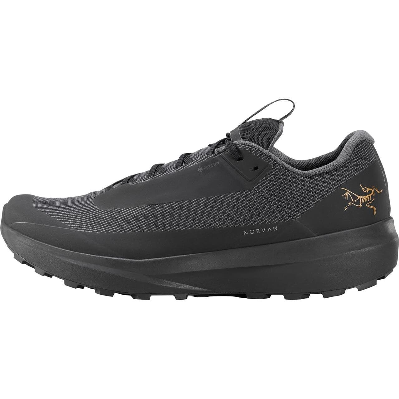 Arcteryx Mens Norvan LD 4 GTX (Sort (BLACK/BLACK) 42)