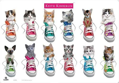 ! Super Udsalg Desk Mat/Hård Bordmåtte/Bordskåner - Keith Kimberlin Cats v2 - 34,5x49,5 cm
